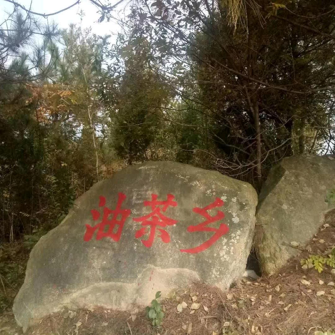 旺仔