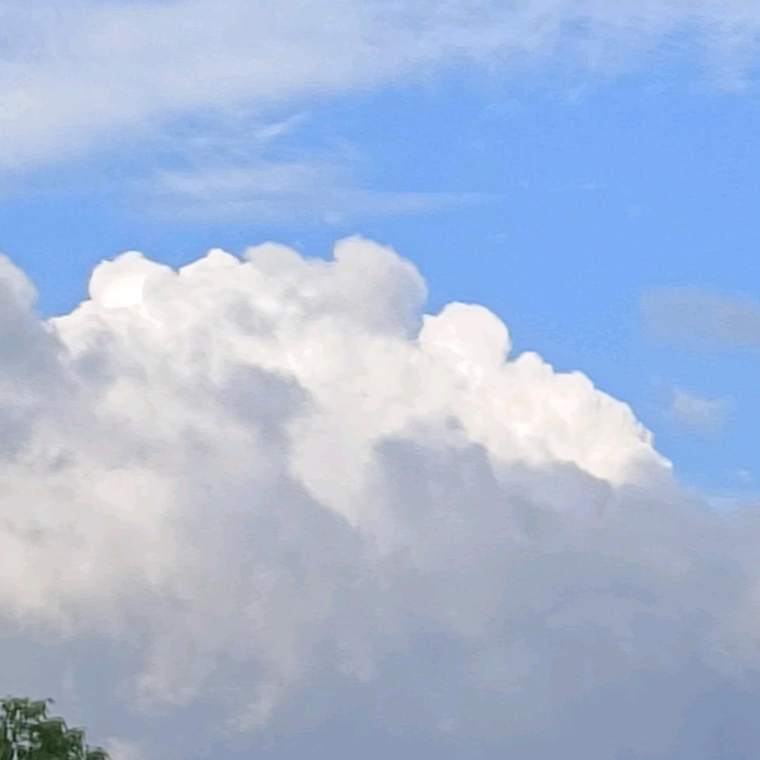 酥膳纪三元面包供销社周