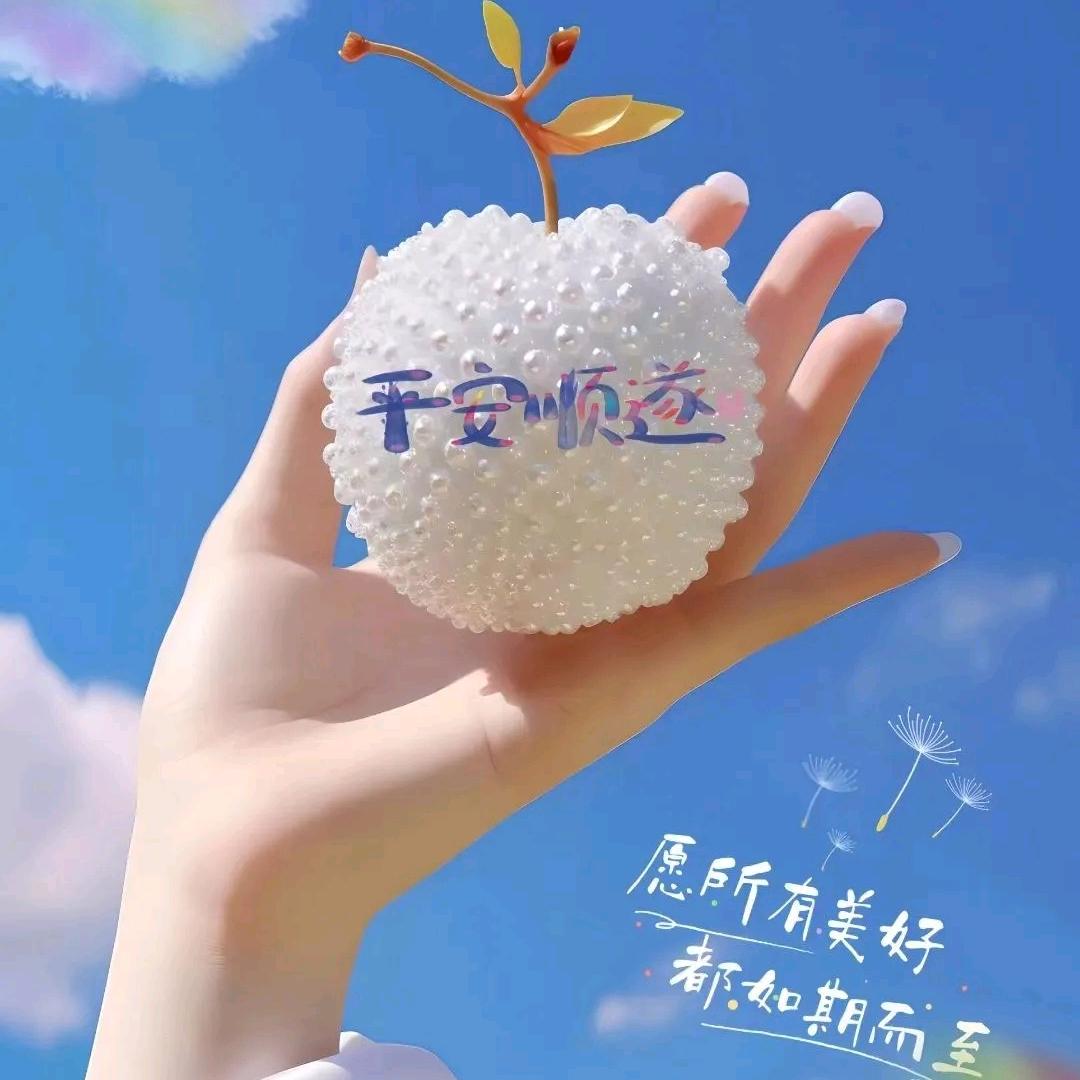 踏雪🌸寻梅