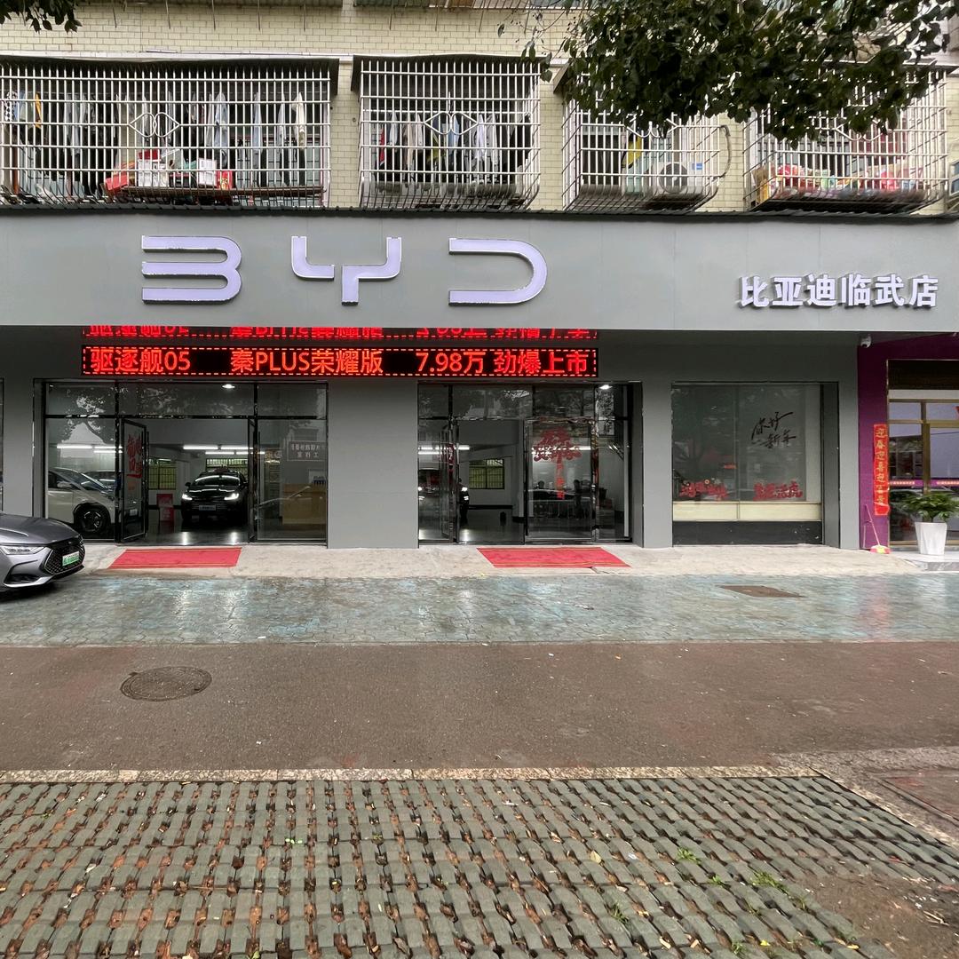 电比油低-临武比亚迪