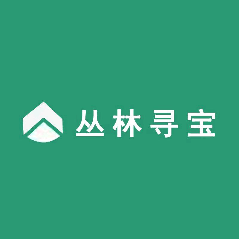 丛林寻宝实木床