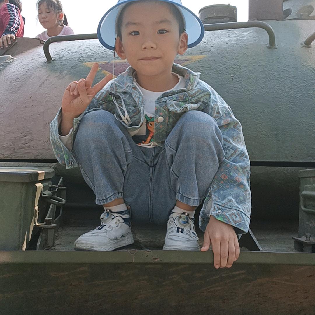 真情