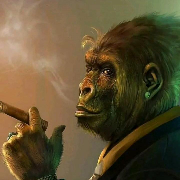 清欢渡