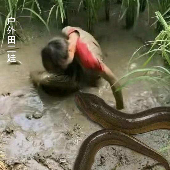 田二娃户外