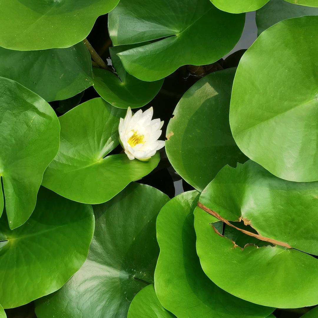 开开心心的每一天