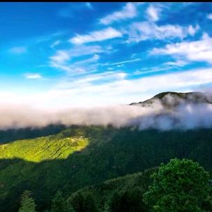 环境保护爱好者