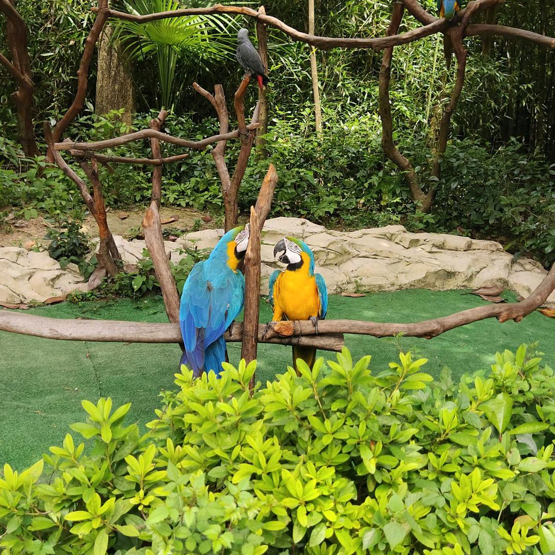 做个情绪的主人