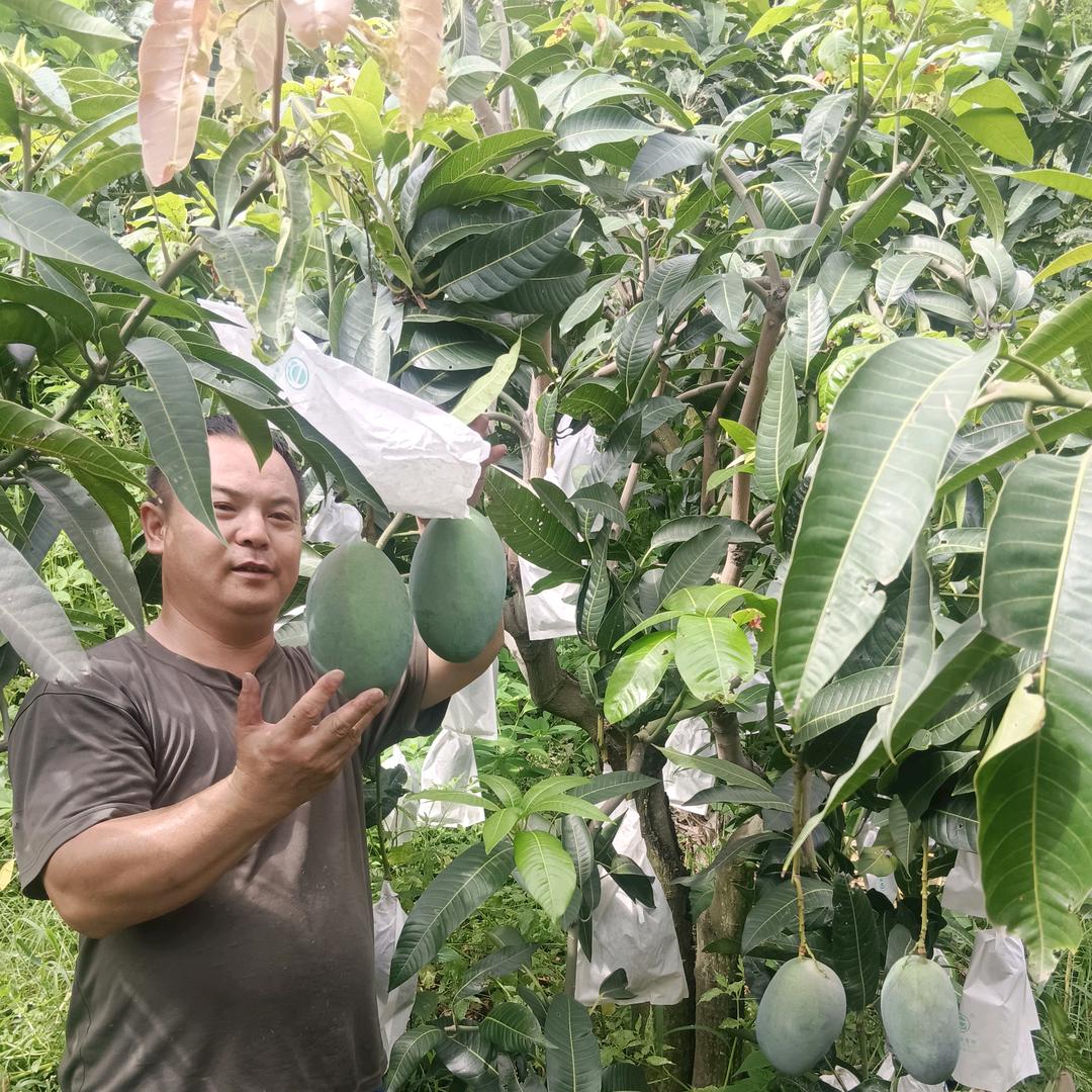 攀枝花八佰旺新鲜果蔬