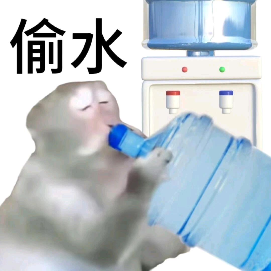 天竺葵