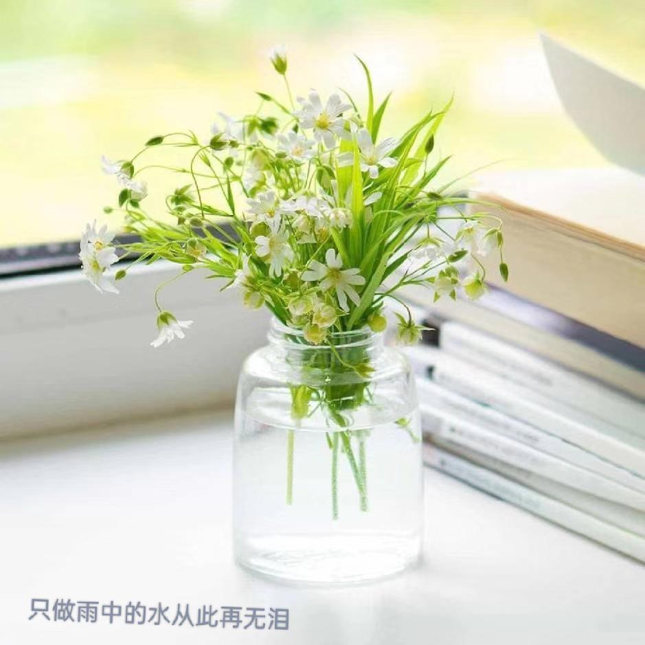 山楂树下