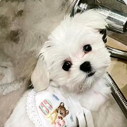 拉倒了呗。。