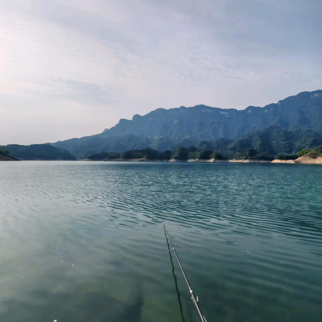 小杨哥哥
