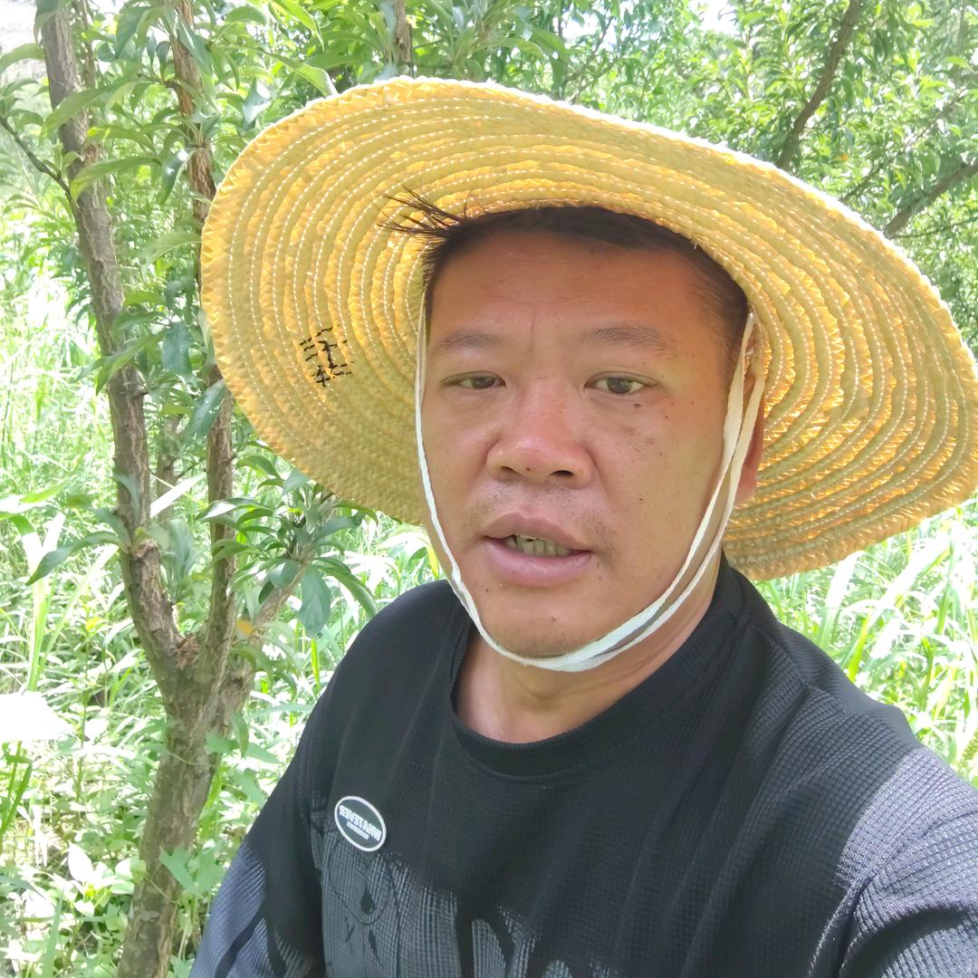 镇宁自治县元芳蜂糖李苗木种植场