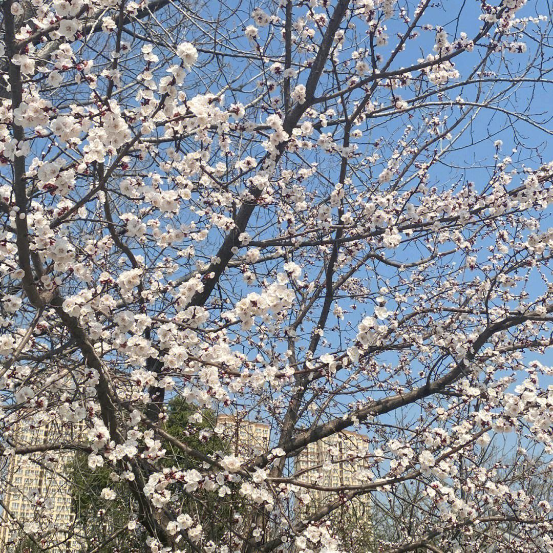 星落天川