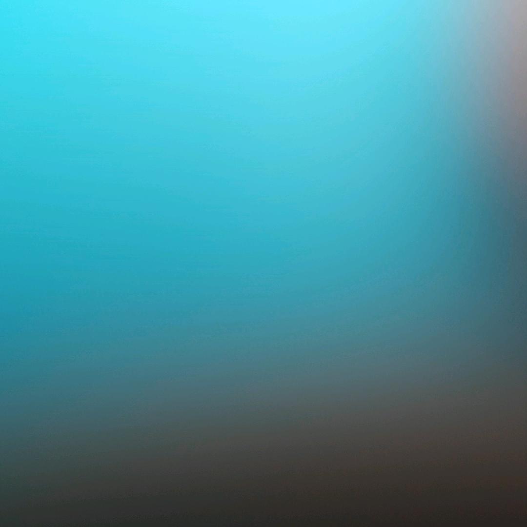 爱玩的豆干