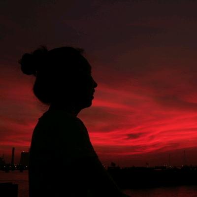 87的兔子太多了