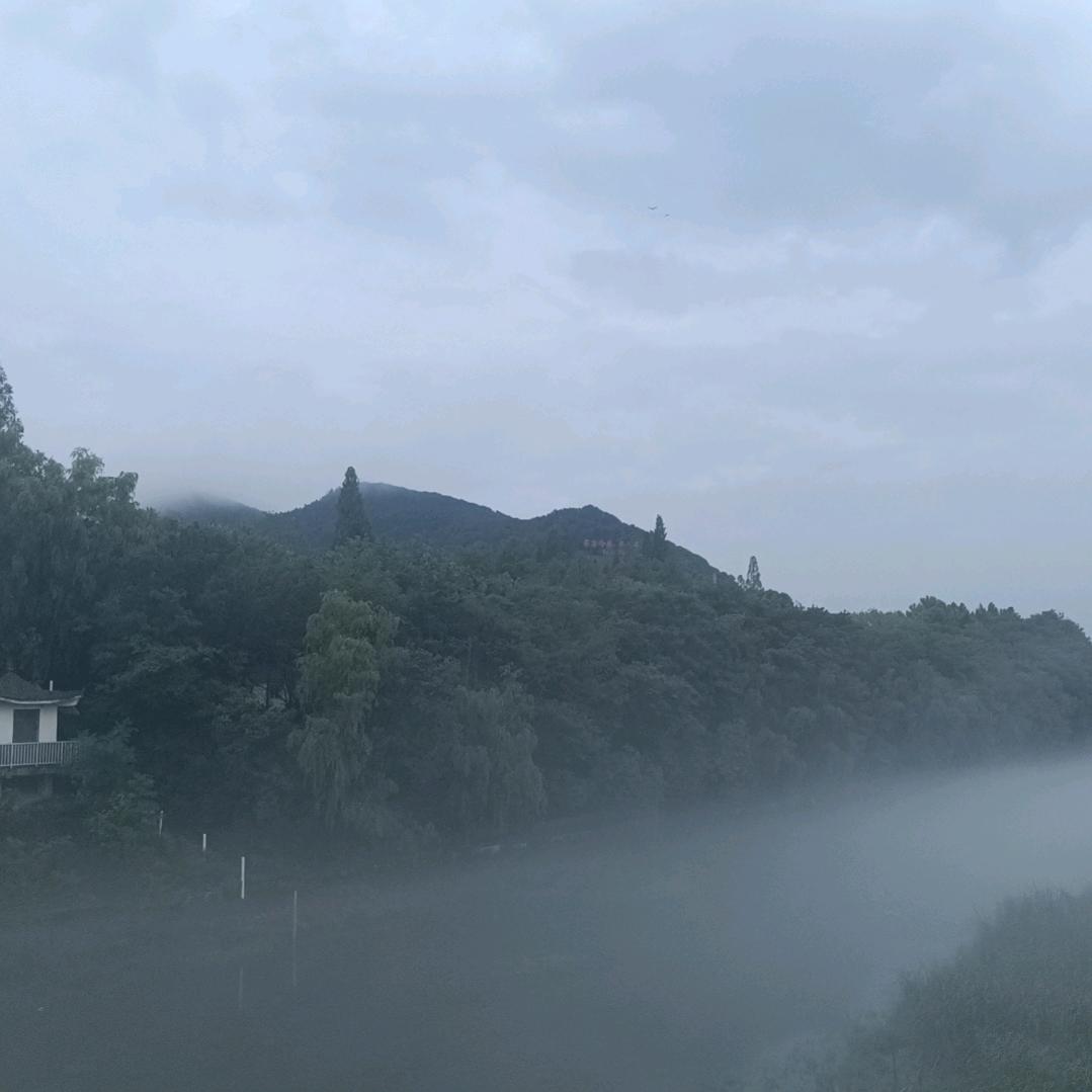 中医药学校🌿