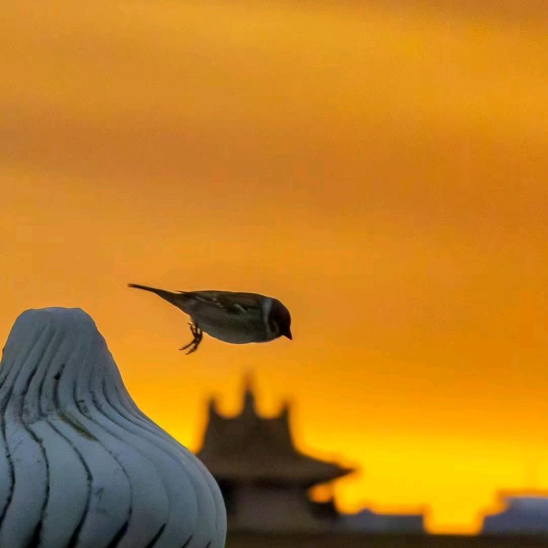 武汉瑞畅—段老师