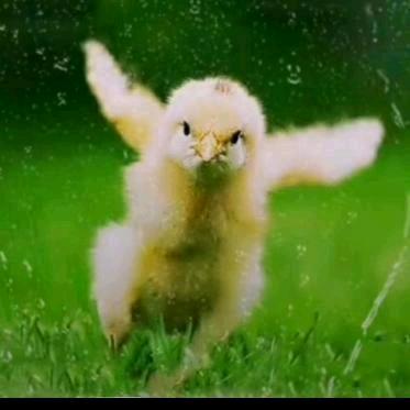 鑫诚标识一马涛