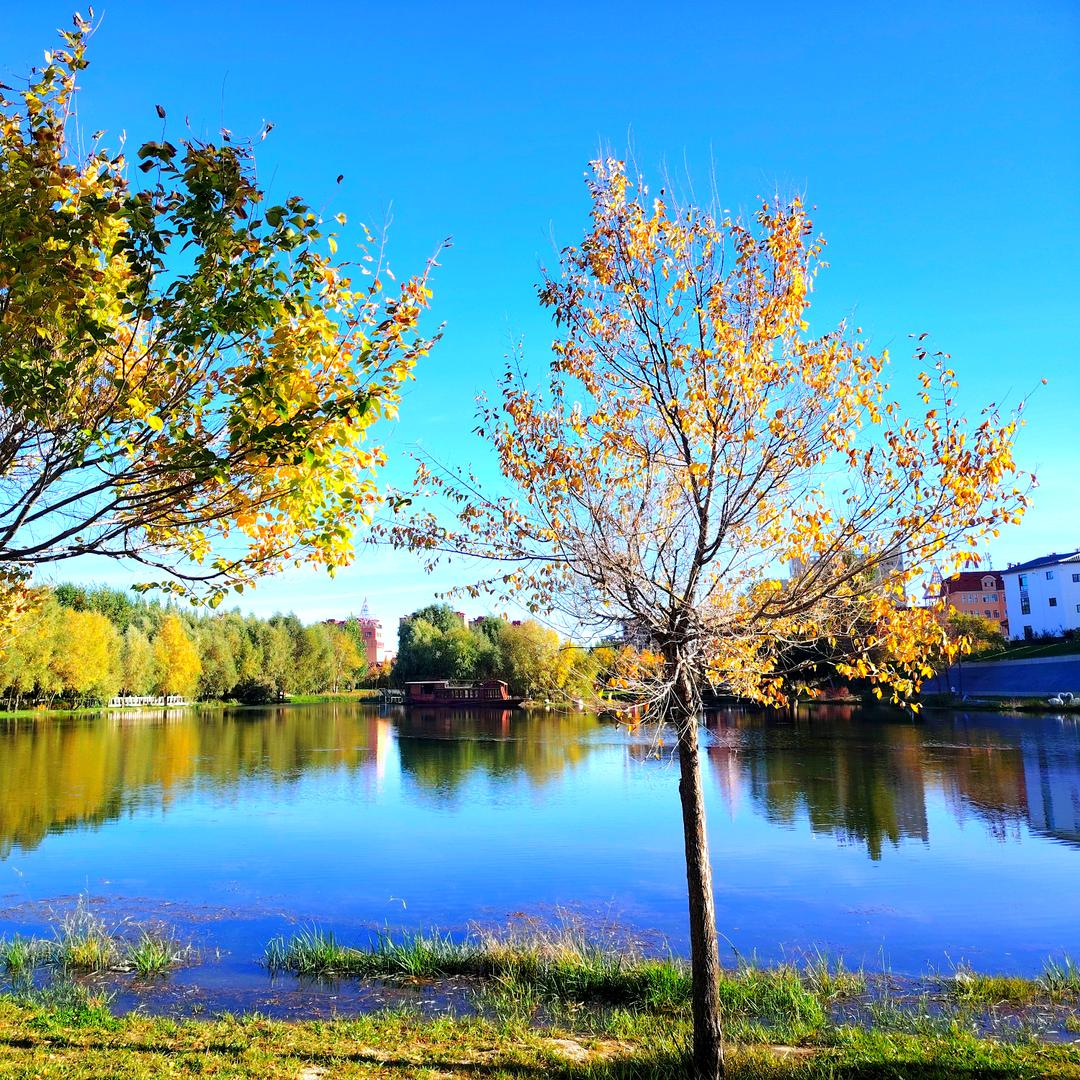 用户63724515小花