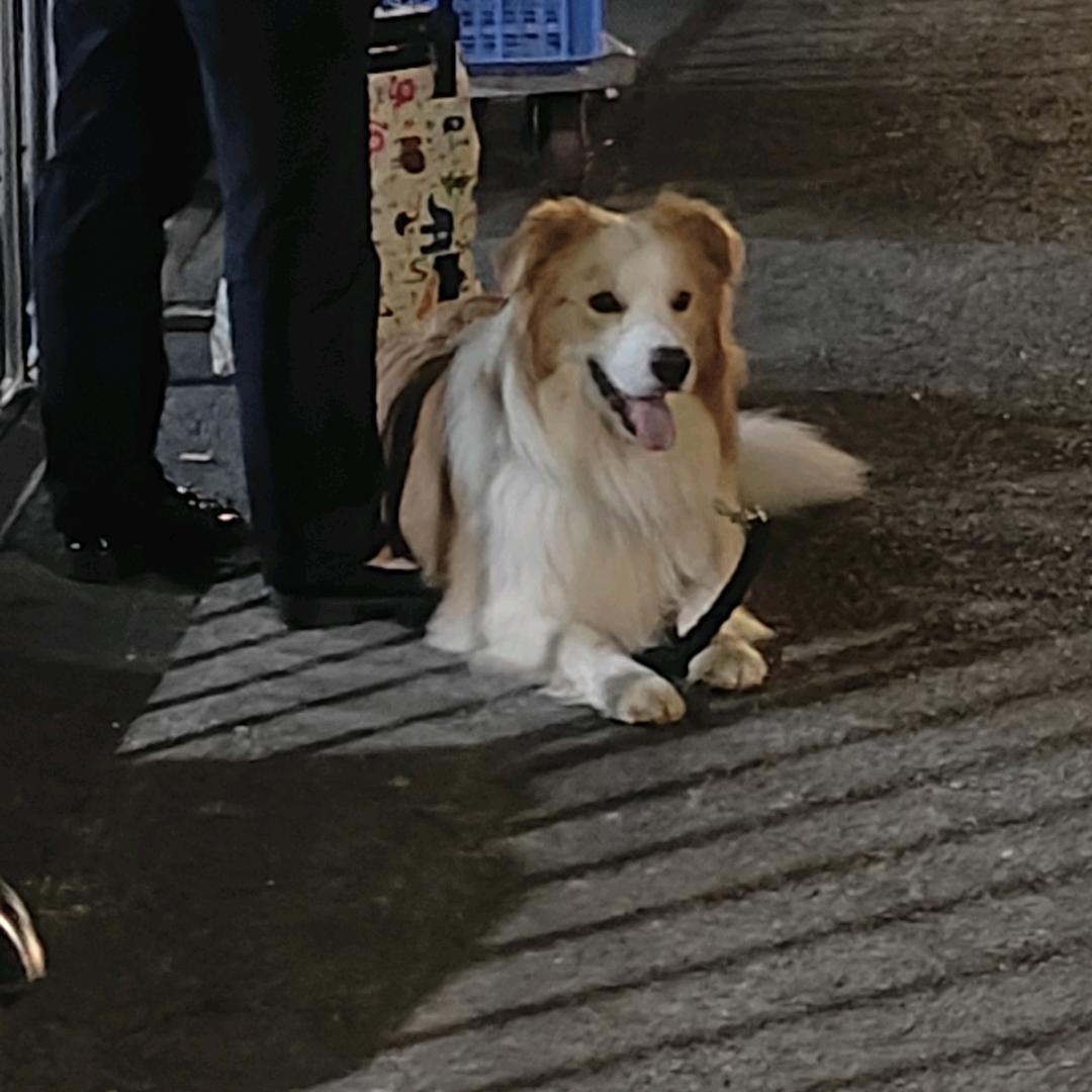 🌧️雨落长安街