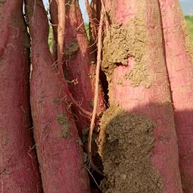 红丰农副产品店