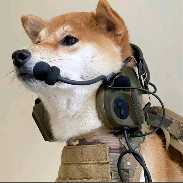 Damn哈哈