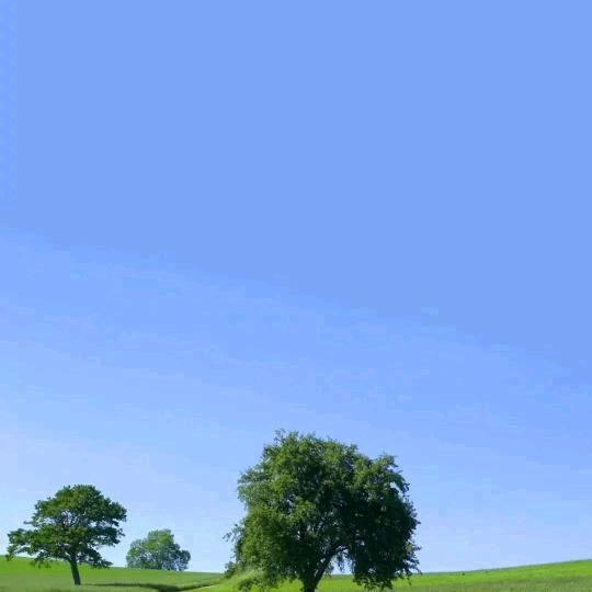 请叫杨哥（影视）