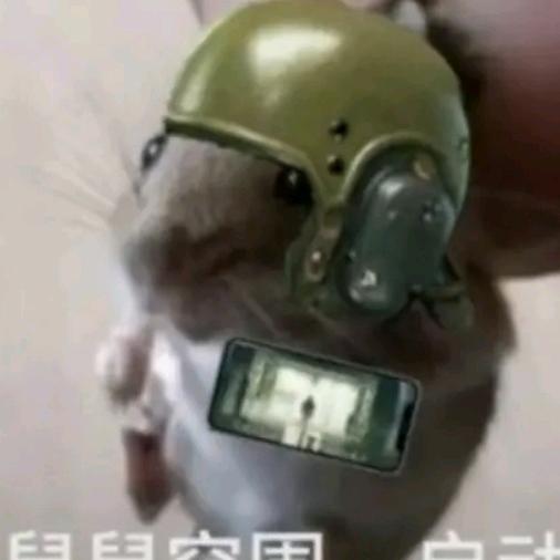 黑牢大（暗区突围）🤓