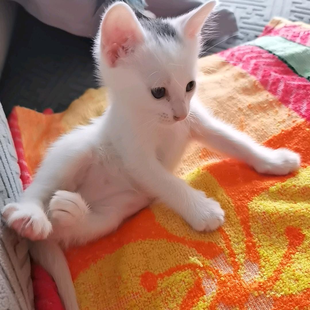 妍大宝@♥