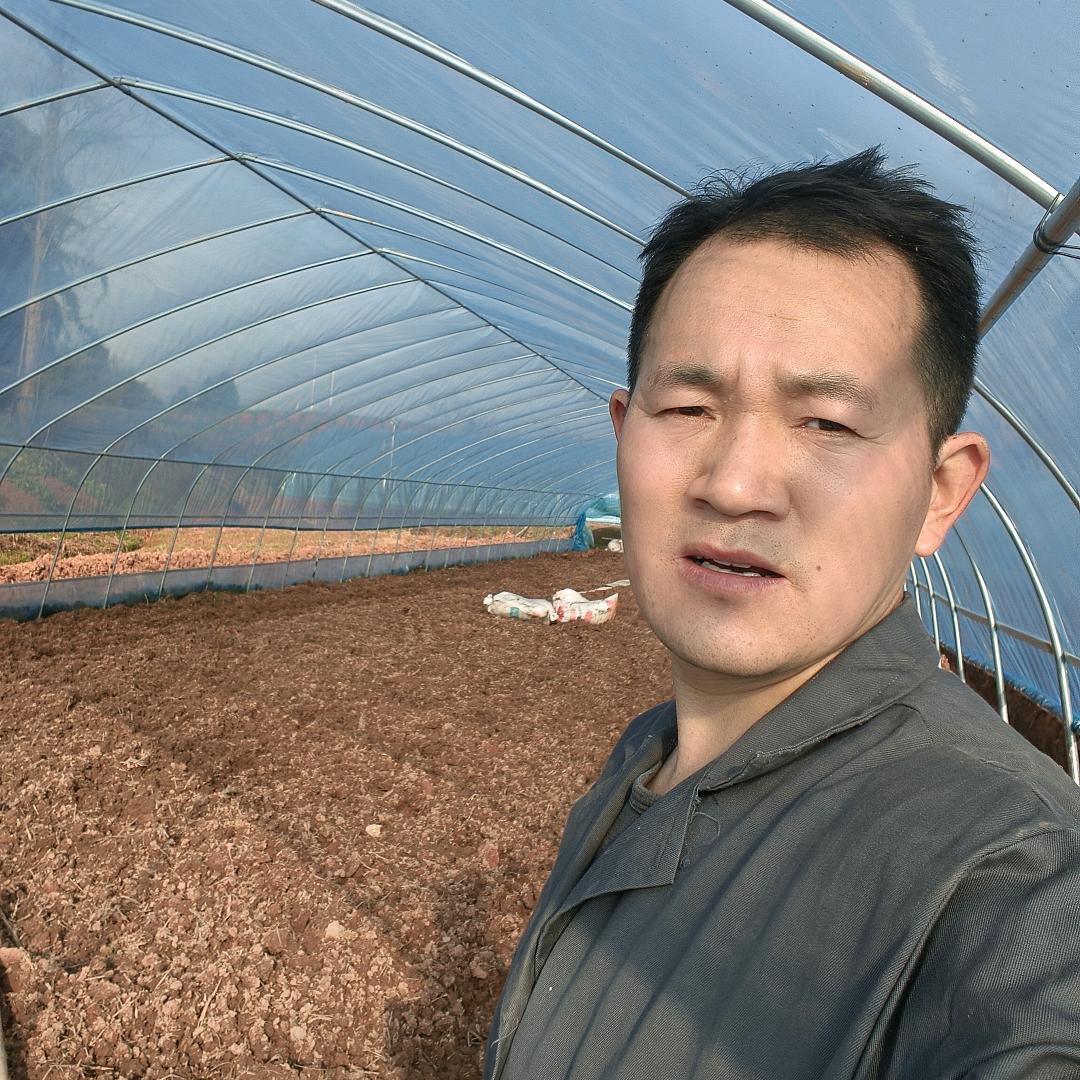 波哥的家庭农场