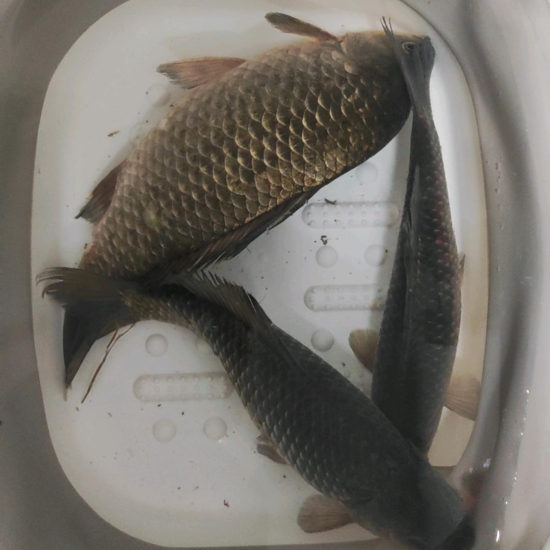 长治户不湿