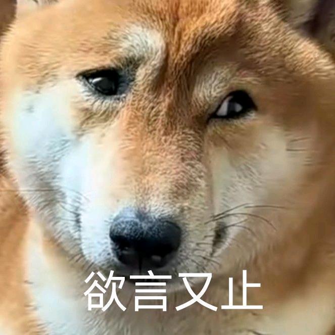 树欲静