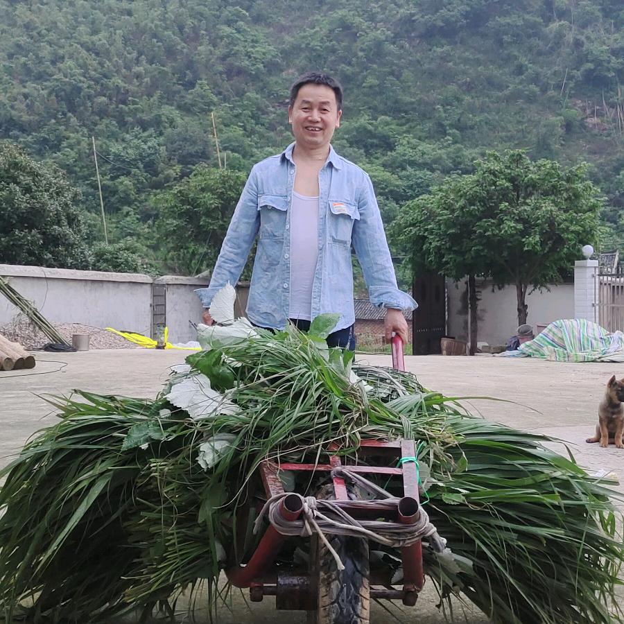 糊涂仙……