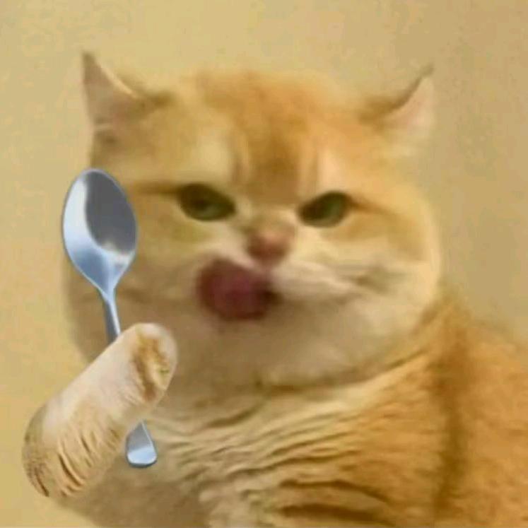 书客