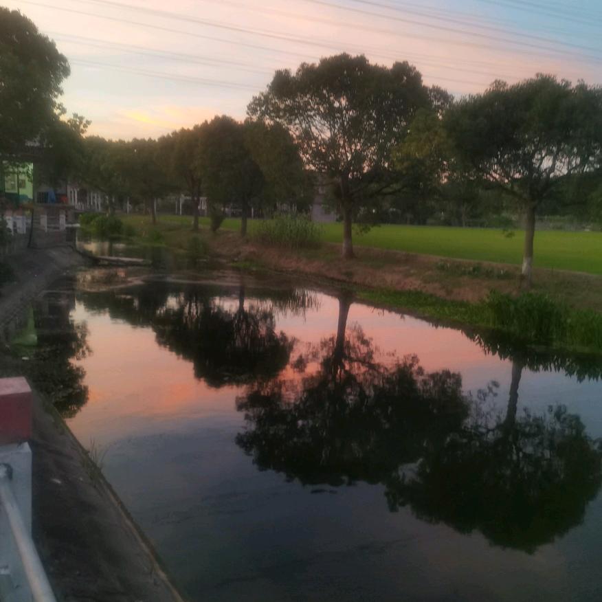 ／😎😎😎😎😎