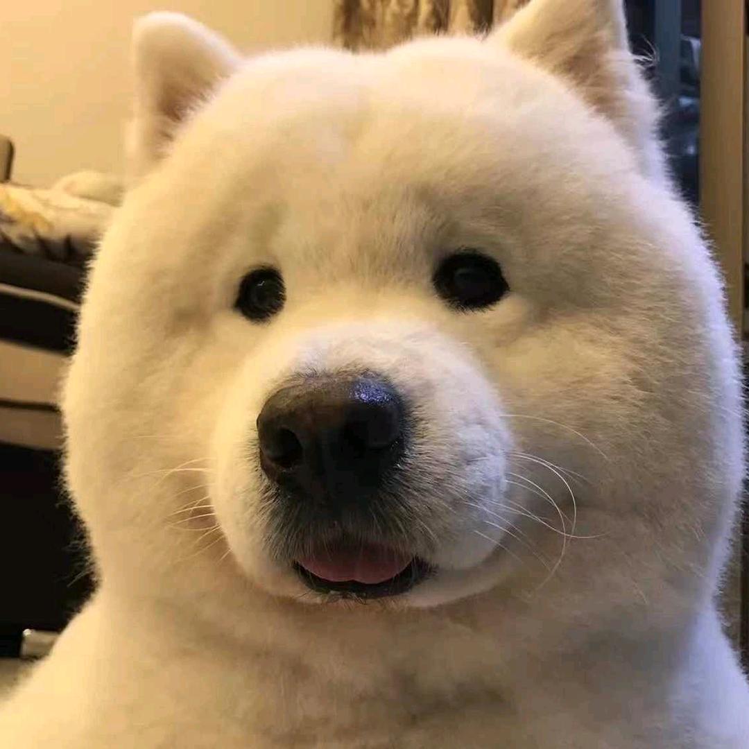 三国杀修勾大王