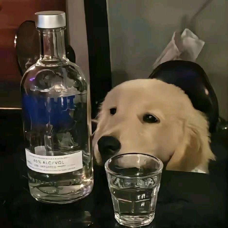 禾泥