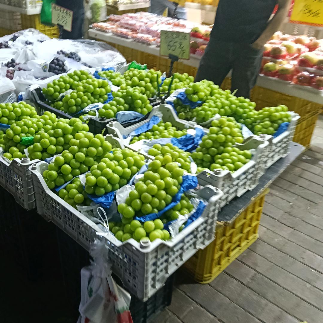 红萍果丨🎤