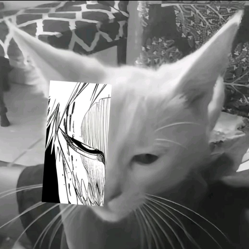 雪花已铺满了地