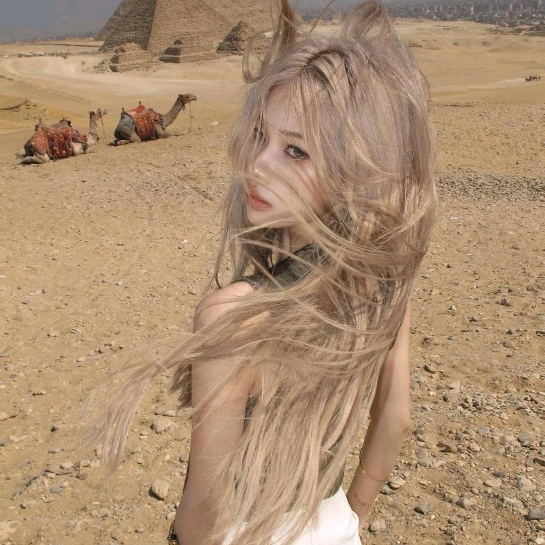 晚枫