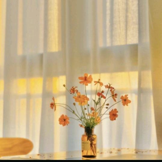 💞云卷云舒❣️