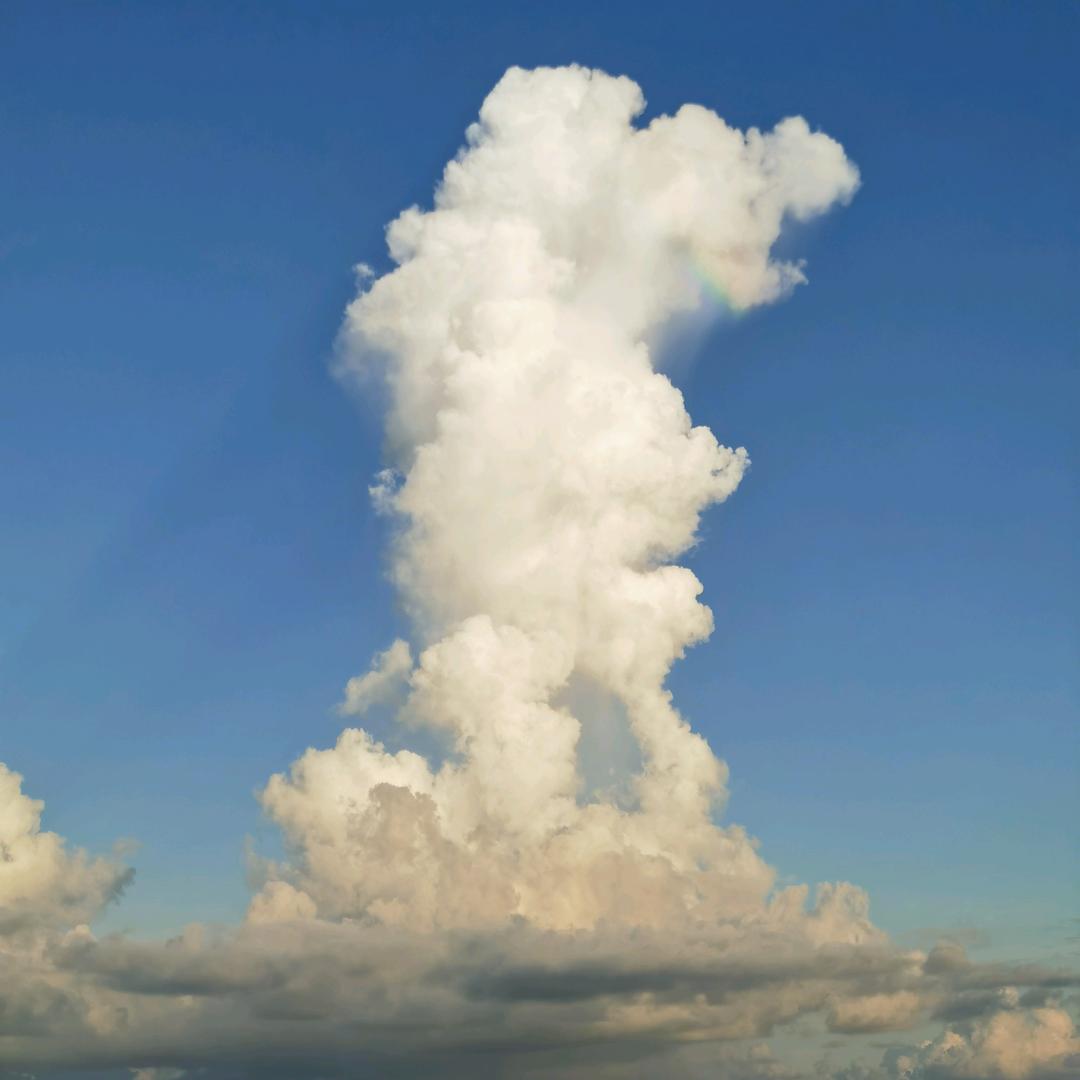 甫之（晒太阳版）