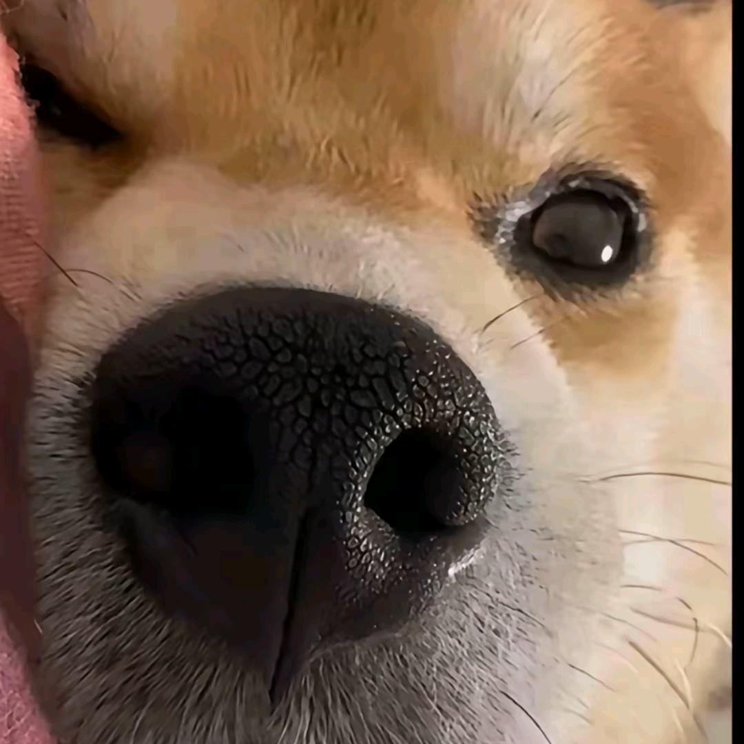 奶思