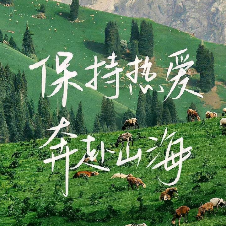 自律~（养号中）