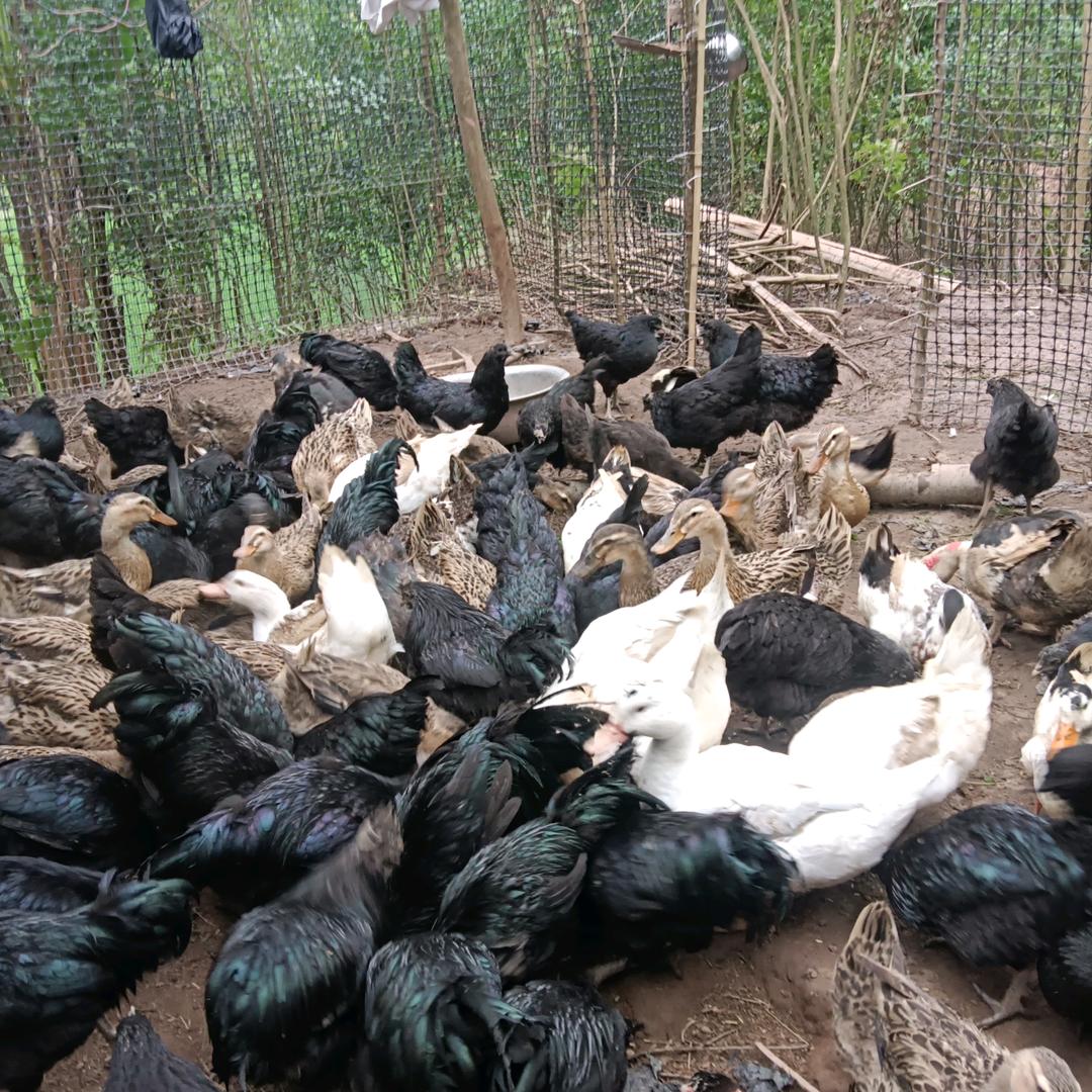 徐云、956267911736