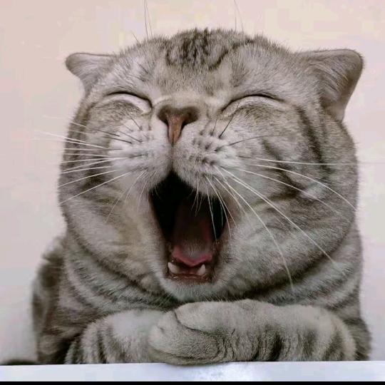 🎀兜兜满满🎀