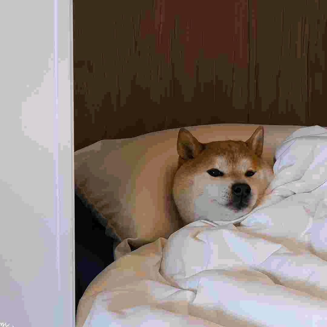 晚宁