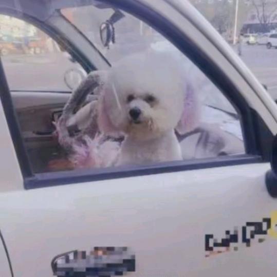 🌹🌹AA小卡卡【♥】