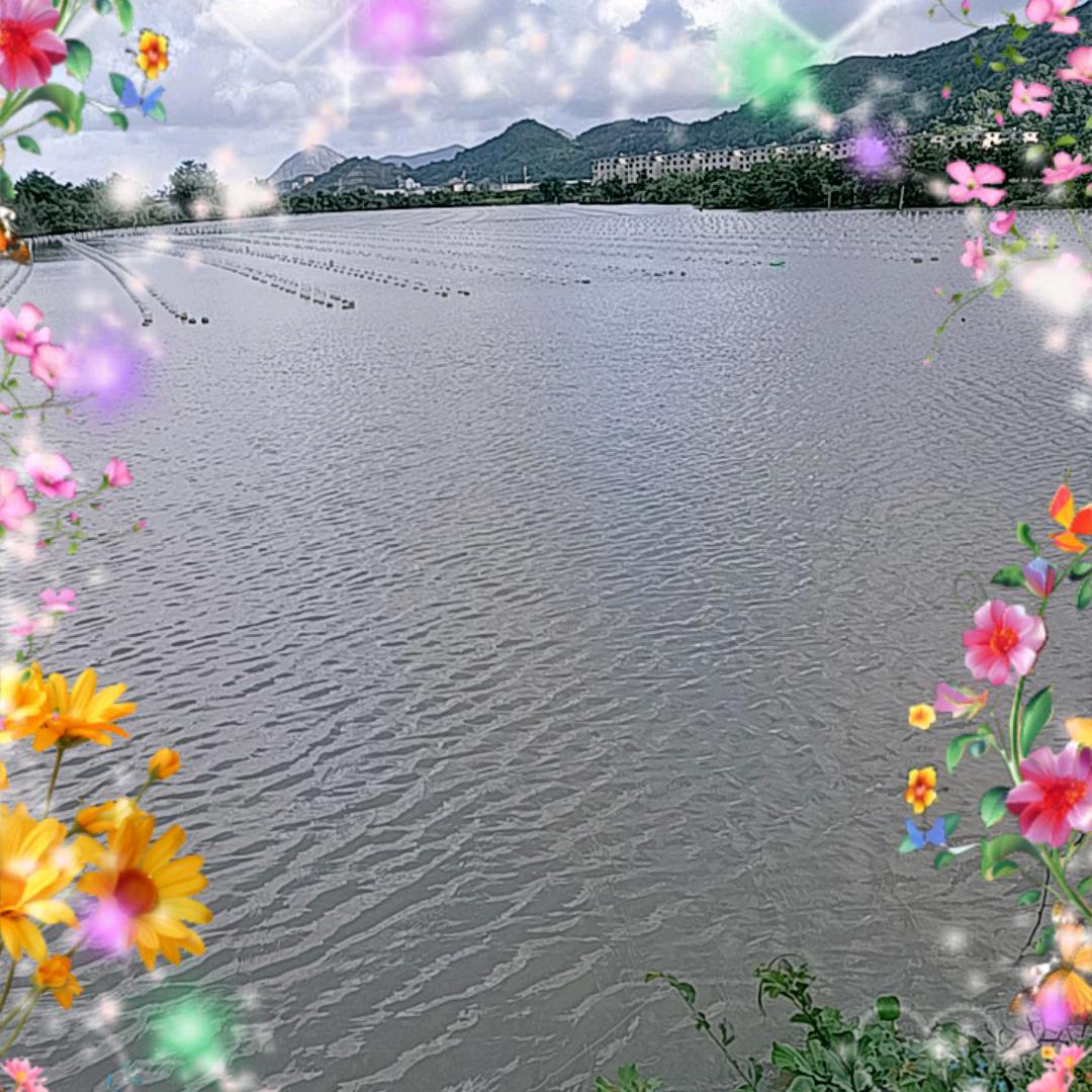 保哥